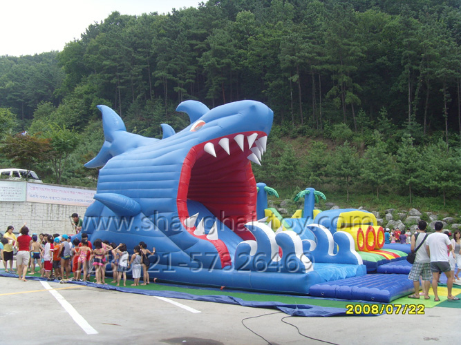 Giant Inflatable Slide for Sale HT-22
