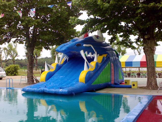 Dry Inflatable Slide XZ-WS-016
