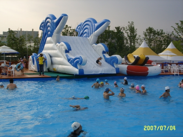 Commercial Grade Inflatable Water Slide XZ-WS-011