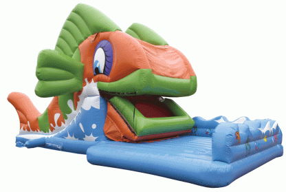 Backyard Inflatable Slide XZ-SL-065