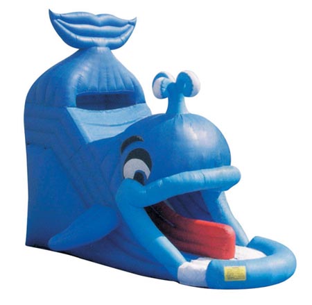 Huge Inflatable Slide XZ-SL-031