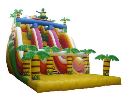 Dry Inflatable Slide XZ-SL-012