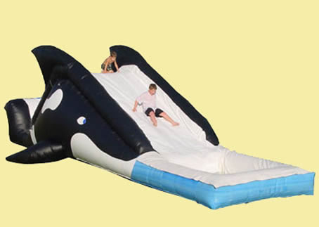 Inflatable Water Slide for Sale HT-43
