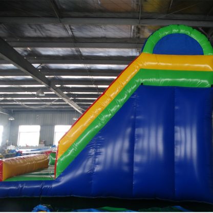 Double Inflatable Slide for Kids XZ-BH-4341