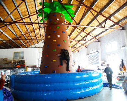 Inflatable Climbing Wall XZ-BH-4919
