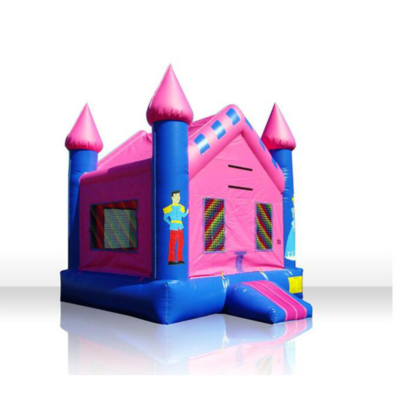Cheap Inflatable Bouncy Castle XZ-BH-166