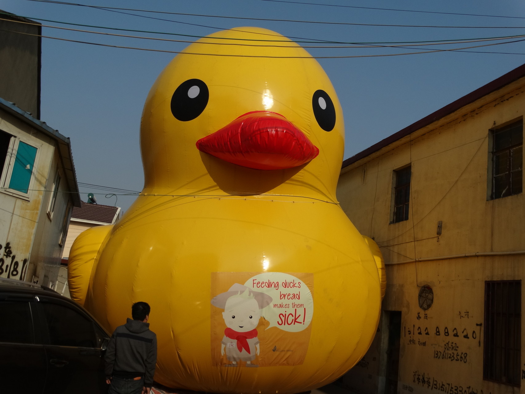 Water Park XZ-BH-4885