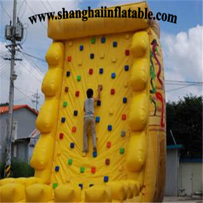 Inflatable Climbing Wall XZ-BH-025
