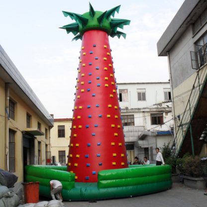 Climbing Mountain Inflatable XZ--BH-006