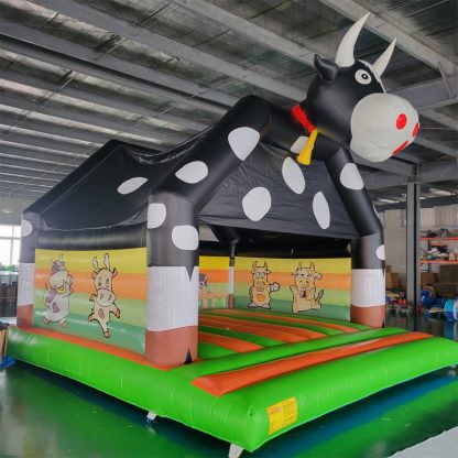 Inflatable Castle XZ-BH-3638