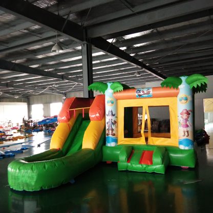Inflatable Water Slide XZ-BH-595