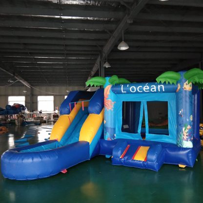 Inflatable Water Slide XZ-BH-596