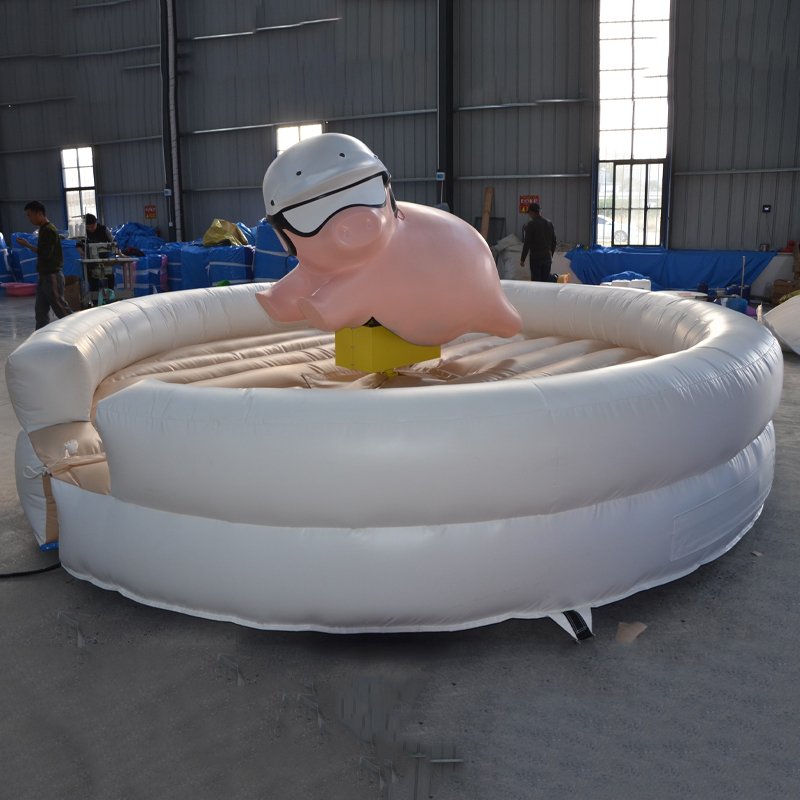 XZ-BH-160 - 图片 4