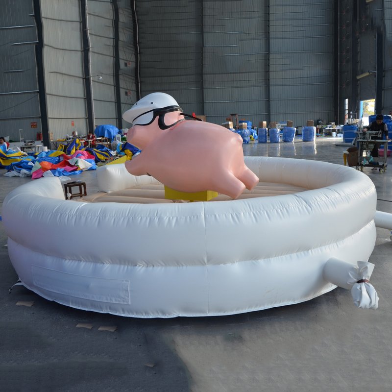 XZ-BH-160 - 图片 3