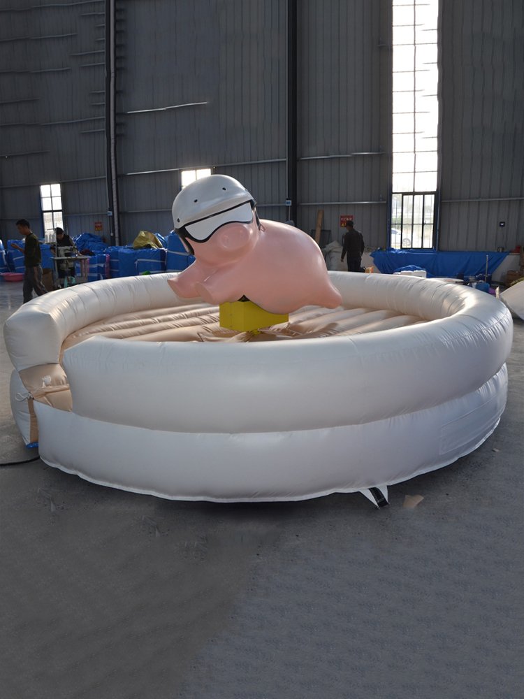 XZ-BH-160 - 图片 2